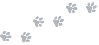 Kevin's Kennels, Dog Boarding, Cat Boarding, Doggy Daycare, Dog Grooming, Cat Grooming, Pet Grooming, Northern Wisconsin, Pet Boarding, Dog Kennels, Cat Kennels, Cat Condos, Pet Kennels, Eagle River, WI, The Eagle River Three Lakes Chain of Lakes, Lower W