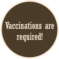 Vaccinations are required!