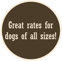 Great rates for dogs of all sizes!