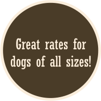 Great rates for dogs of all sizes!