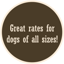 Great rates for dogs of all sizes!